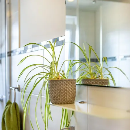 Baumelt Apartament *